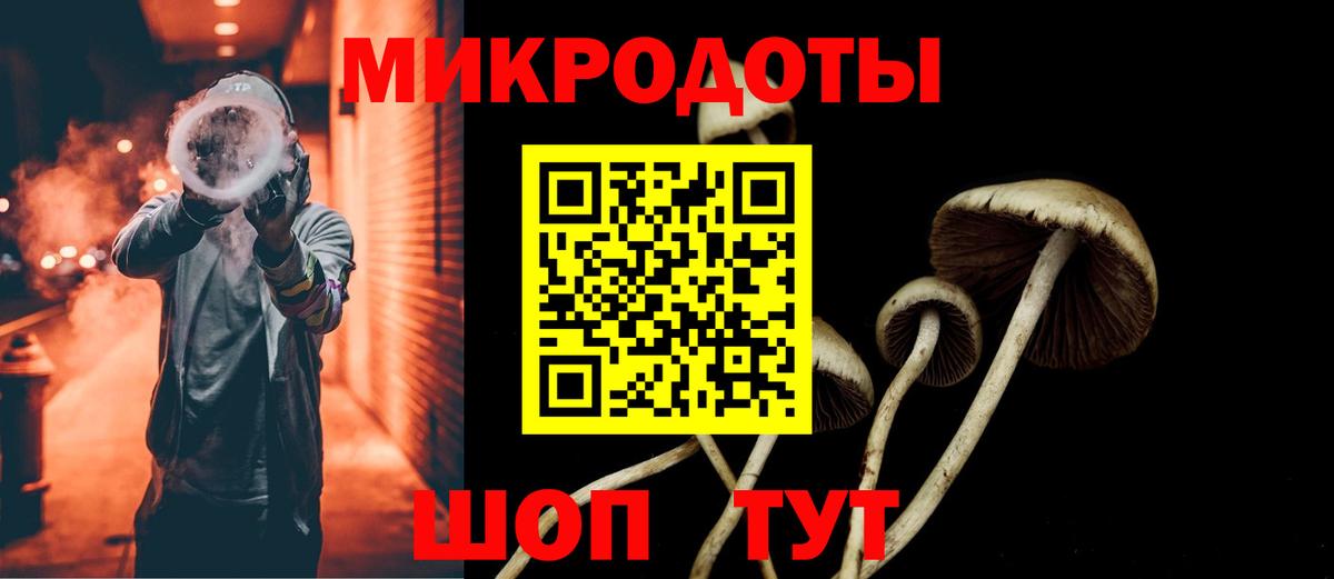 Валуйки  Галлюциногенные грибы Psilocybe  Вход с VPN 