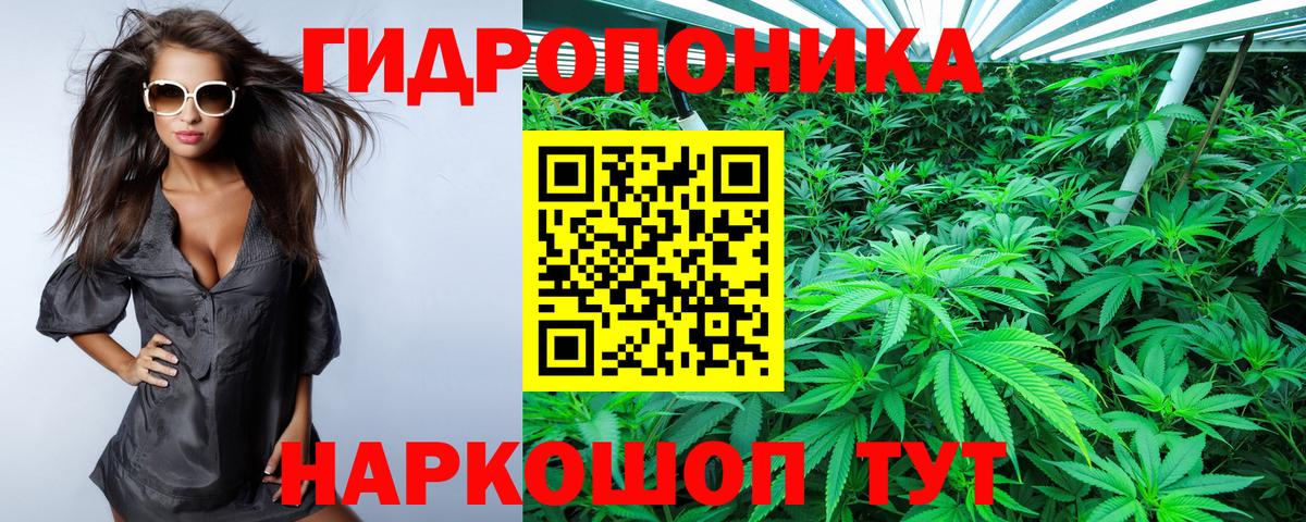Каннабис сатива Валуйки